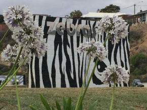 Zebras Guesthouse Geraldton